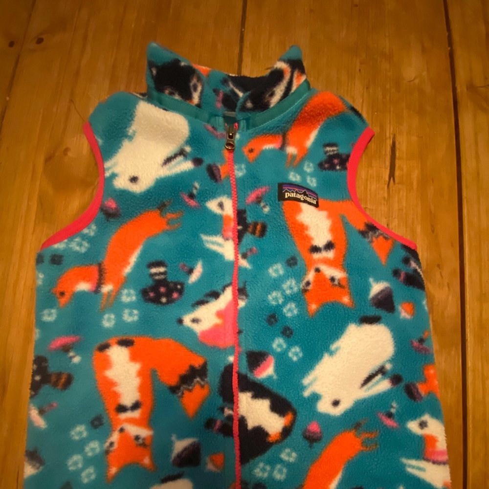 Patagonia Fleece Vest 4T